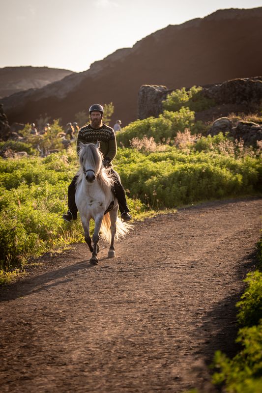 Viking Horses Sleipnir Evening Tour, photo 10 of 10