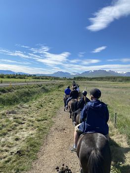 Horse Riding Tour and Explore Scenery in Gásir Akureyri — photo 16
