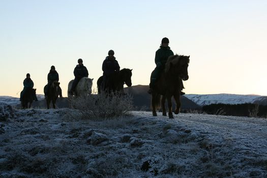 Viking Tour - For experienced riders — photo 10