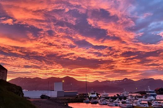 Sunset Boat tour in East Iceland — photo 2