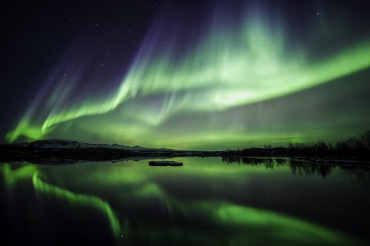 Private Northern Lights Tour from Reykjavik, With Photographs,  and Hot Chocolate