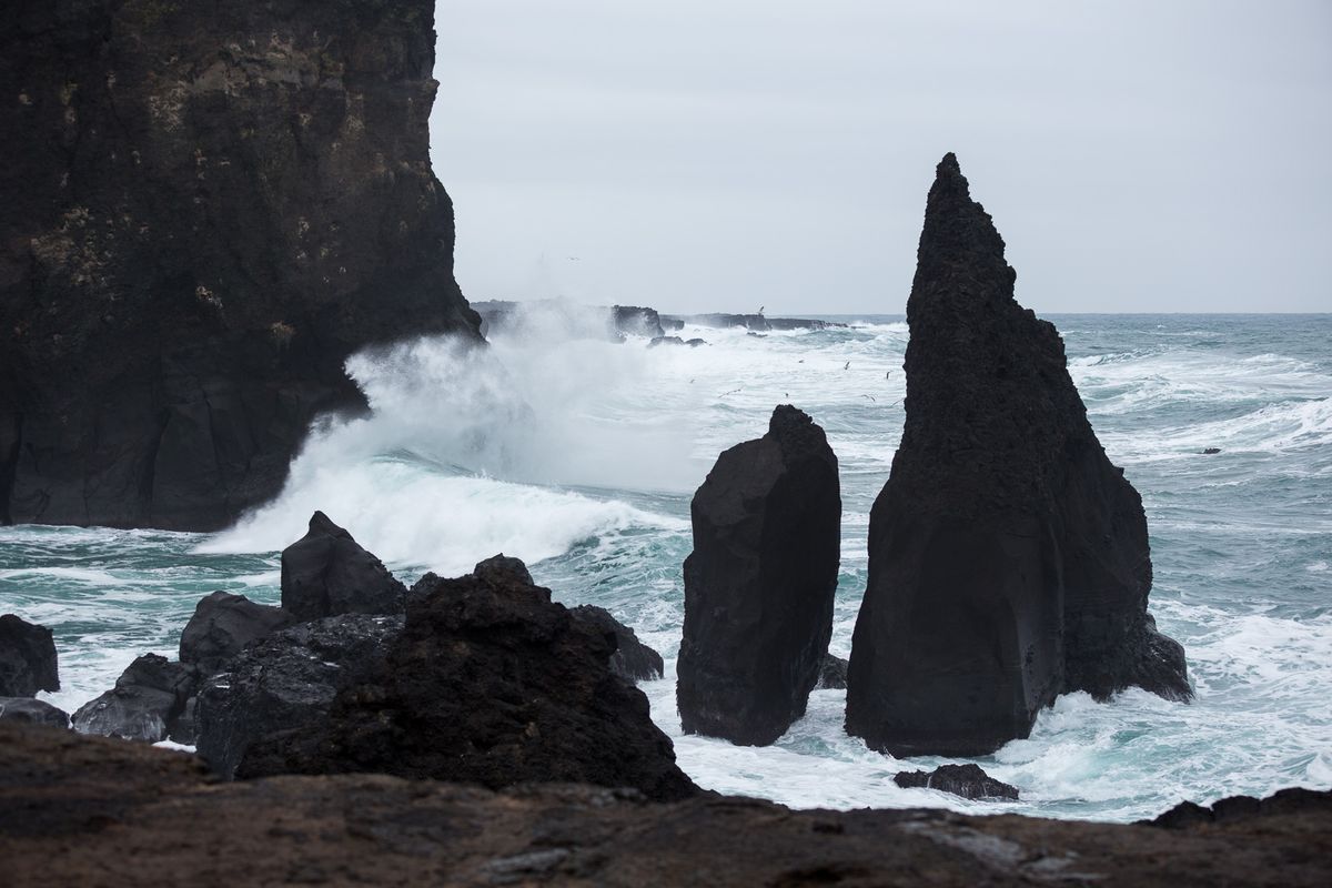Reykjanes Lava Circle: Private Adventure to New Lava & Grindavík, photo 72 of 97