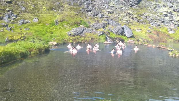 Into the Highlands: Private Landmannalaugar Day Tour – Now Available for Summer 2025 — photo 2