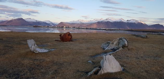 Super Jeep Frozen Glacier Lagoon Tour — photo 23
