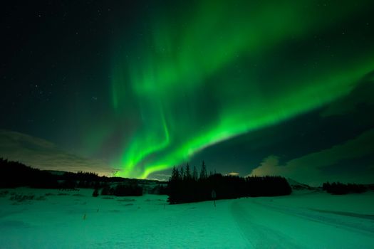 Champagne & Chocolates Aurora Hunt - Private Northern Lights Tour — photo 5