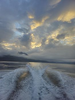 Exploring Djúpivogur - Nature and wildlife — photo 8