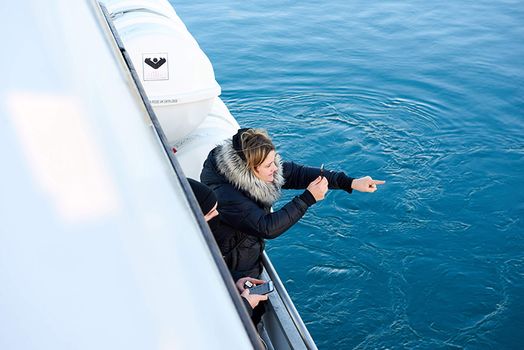 Whale Watching Cruise from Reykjavík — photo 20