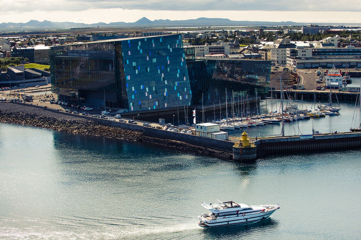 Harbor Cruise with Three Course Dinner from Reykjavik, photo 12 of 18