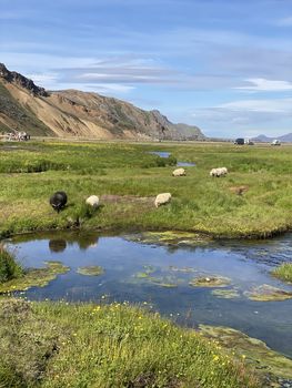 Landmannalaugar Hiking, Stranger Things Waterfall & Nature Bath — photo 13