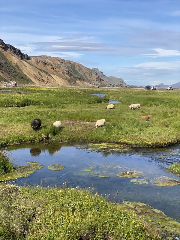 Landmannalaugar Hiking, Stranger Things Waterfall & Nature Bath, photo 13 of 13