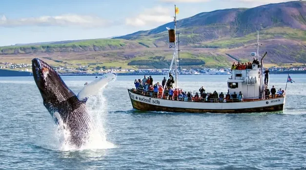 Private Nature Lovers Tour from Akureyri — photo 6