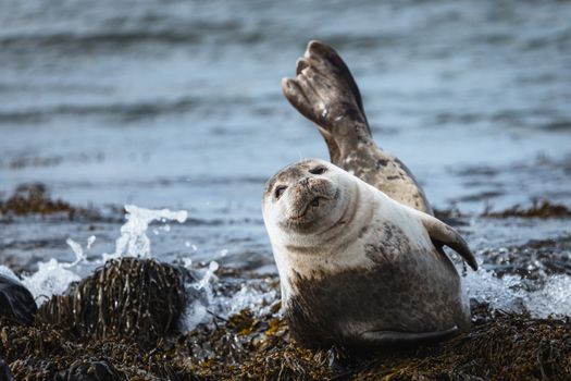 Snæfellsnes Peninsula | Private Tour | Photo Package Included — photo 24