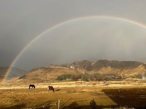 1 Hour Private Horseback Riding - Join us for an unforgettable adventure, where you can connect with these magnificent animals. — photo 3