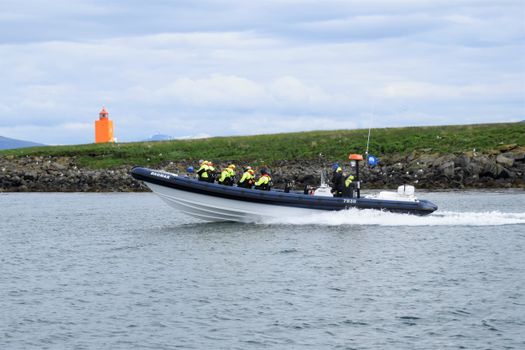 Puffin Express by RIB Speedboat — photo 5