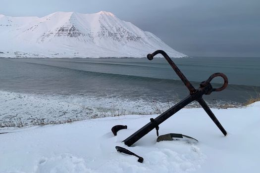 Arctic Coastline, Microbrewery and Culture Tour — photo 6