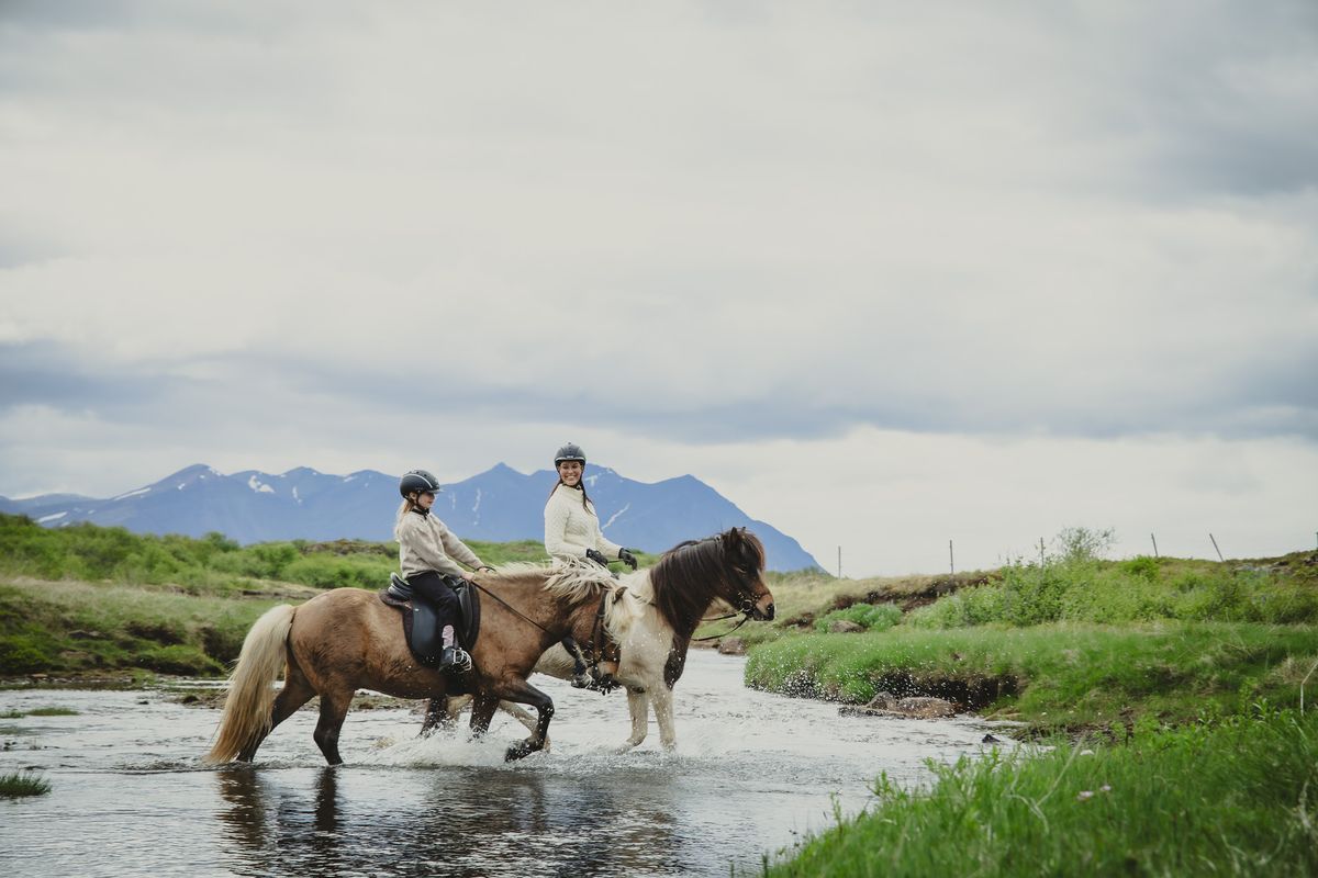 1,5h Trail Ride for All Levels, photo 10 of 12