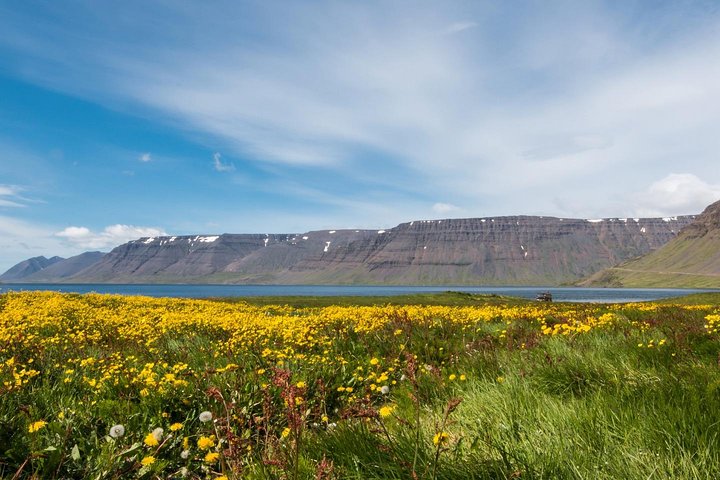 Borgarfjörður, photo 2 of 8