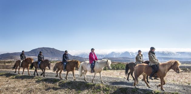 Private Horseback Riding Tour — photo 7