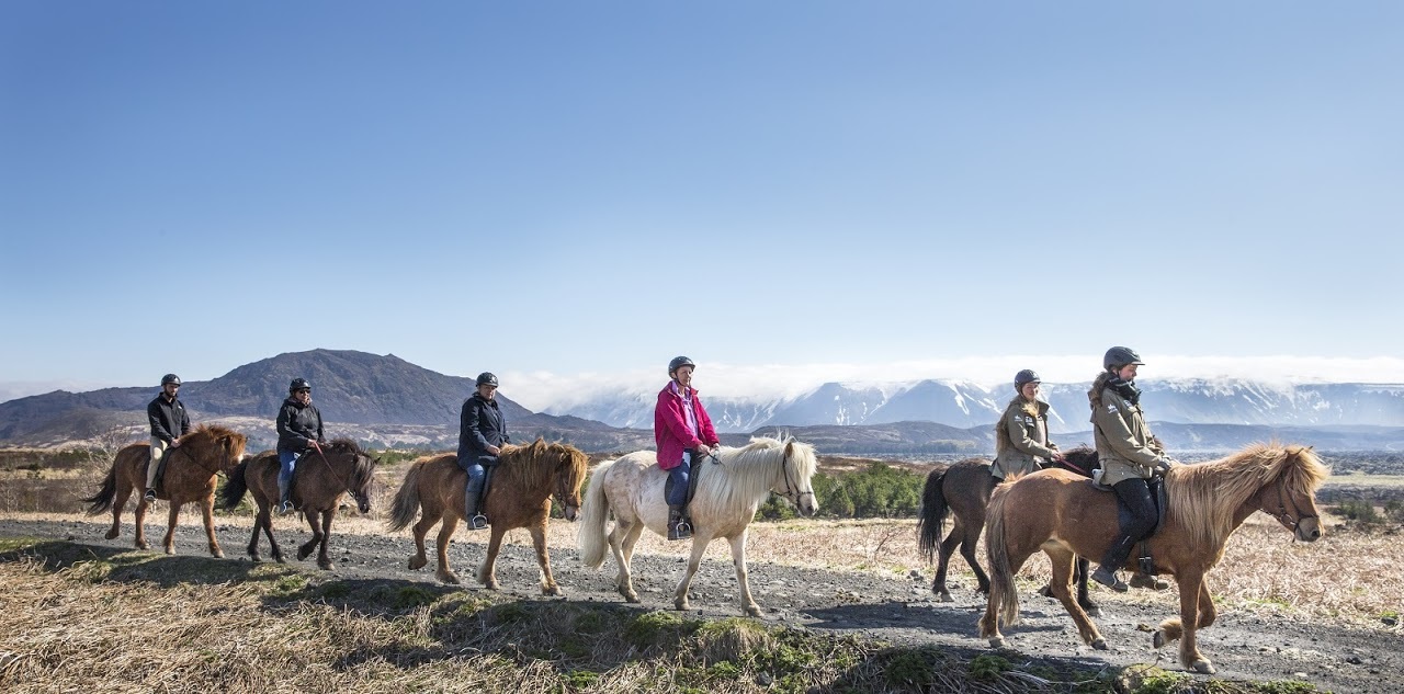 Private Horseback Riding Tour, photo 7 of 7