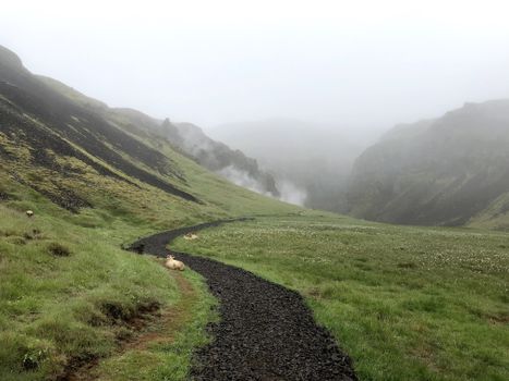 PRIVATE: Hiking up Reykjadalur Valley - Hot River — photo 6