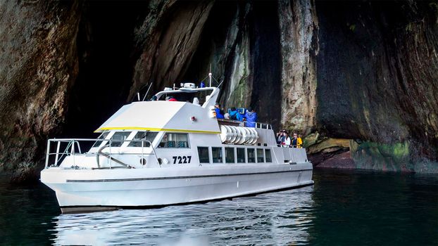 Puffin, island, and volcano boat tour