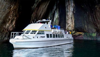 Puffin, island, and volcano boat tour