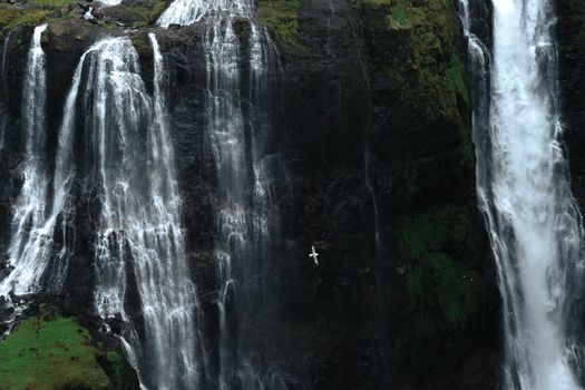 Private Hiking Tour to Glymur Waterfall: Minivan Transfer — photo 21