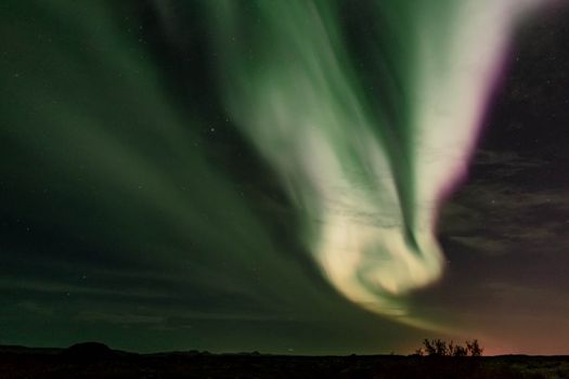 Private Northern Lights Hunt: Minivan — photo 11