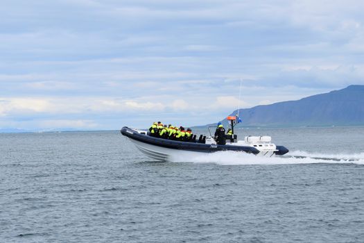 Puffin Express by RIB Speedboat — photo 7