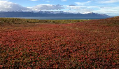 The Saltvík tour