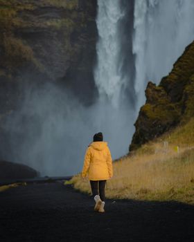 Private South Coast Waterfalls, Beach and Glacier Tour from Reykjavik — photo 21