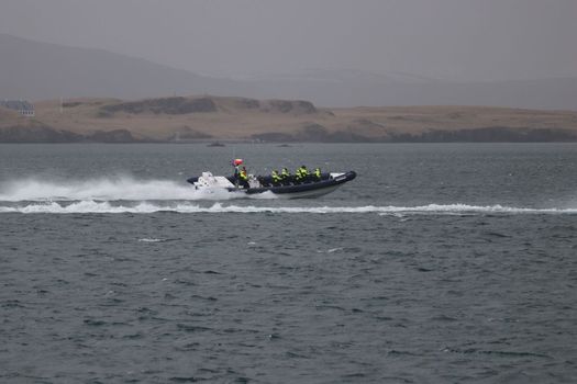 RIB Express - Whale Whatching- from Downtown Reykjavik — photo 5