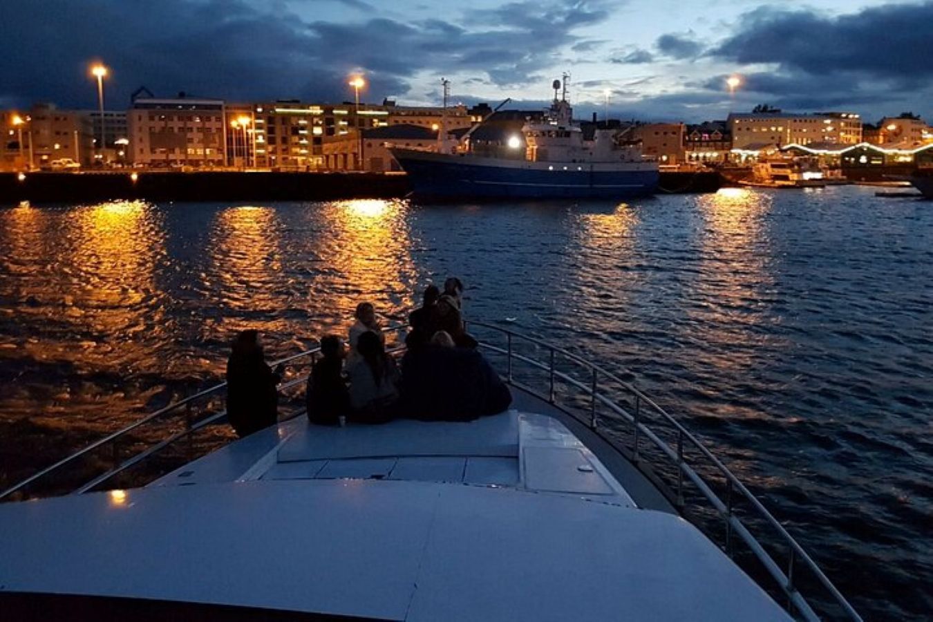 Harbor Cruise with Three Course Dinner from Reykjavik, photo 6 of 18