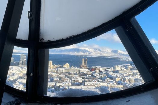Reykjavik History and Sightseeing Walking Tour — photo 7