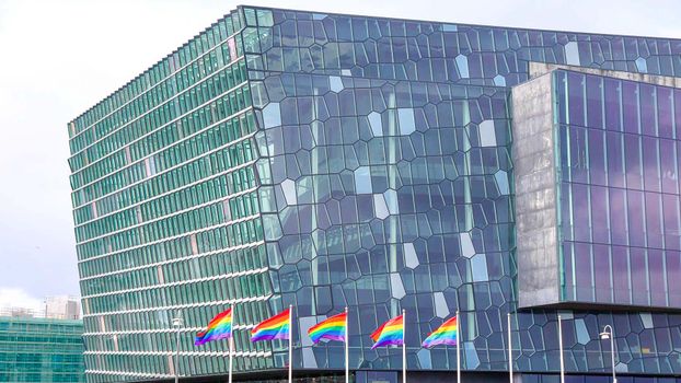 Private Reykjavik LGBTQ+ City Walk — photo 3