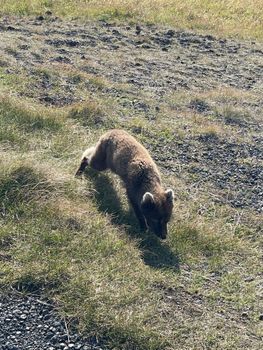 Private Snæfellsnes Peninsula — photo 11