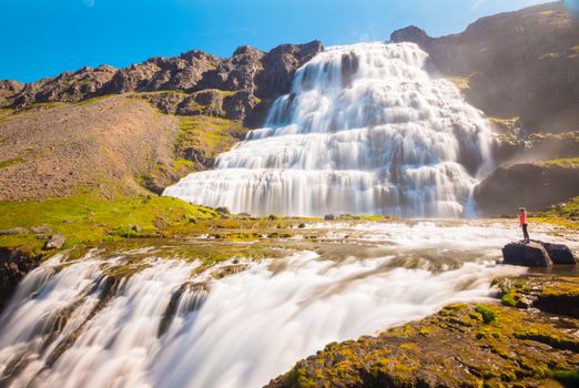 Dynjandi Waterfall & Farm Tour from Isafjordur Port — photo 8