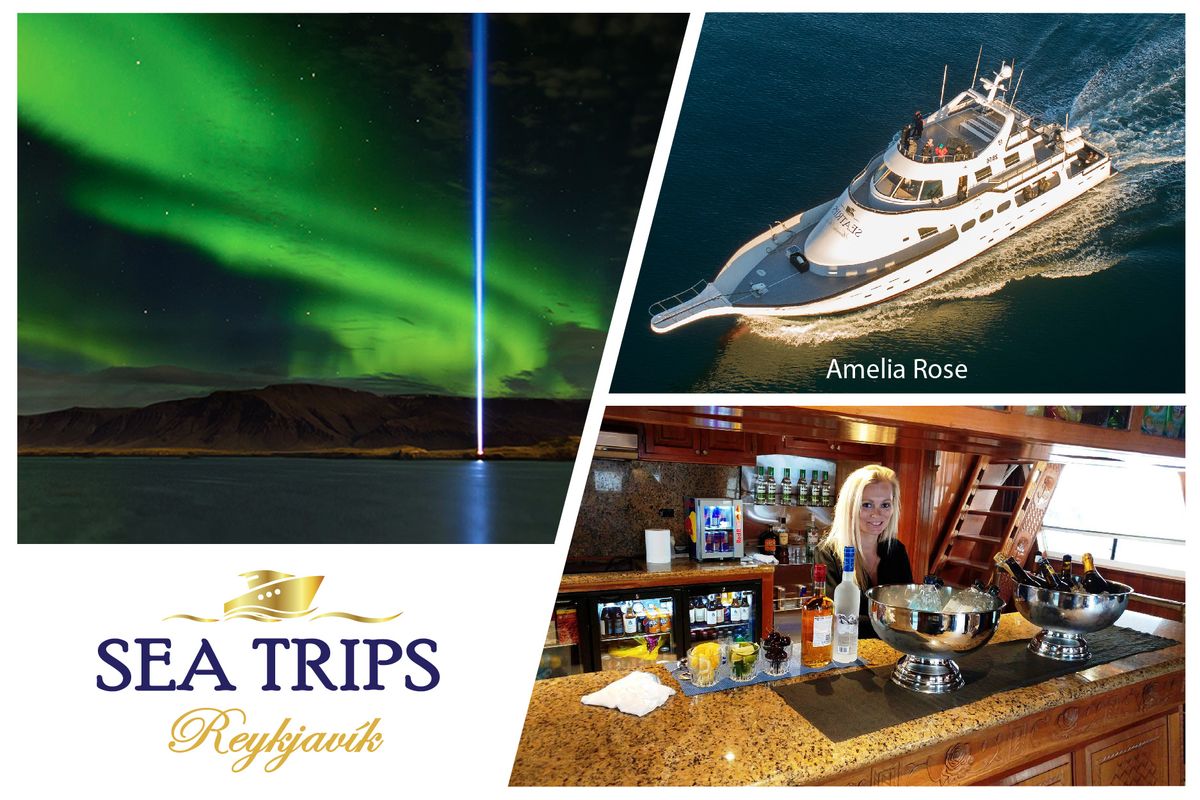 Northern Lights Cruise from Reykjavík, photo 4 of 12