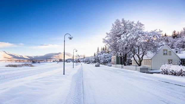 Akureyri Private Walking Tour — photo 13