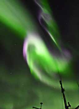 Horses & Northern Lights by boat — photo 4