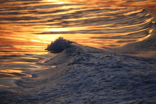 Akureyri Express Whales in the Midnight Sun — photo 8