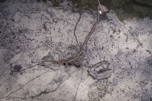 Cave Explorer — photo 4