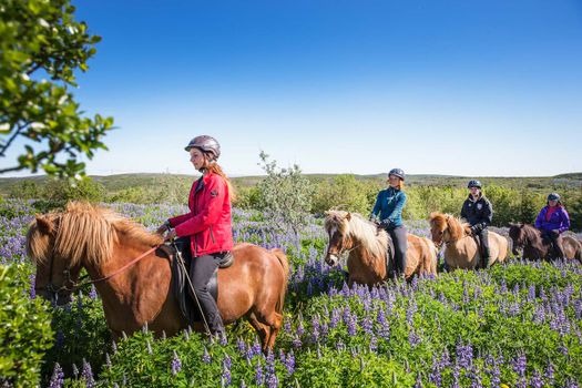 Private Horseback Riding Tour — photo 4