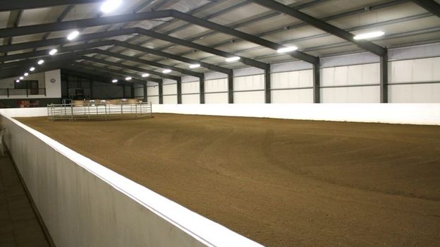 Stable Visit — photo 2