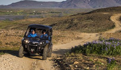 1.5 Hour Buggy Safari