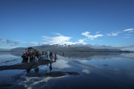 Ingólfshöfði Puffin Photo Tour — photo 2