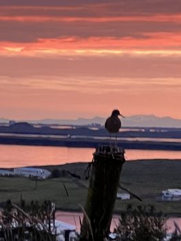 Midnight Sun - Viking way ATV Adventure with transfer from Reykjavik — photo 9