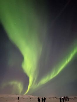 Private Northern Lights Tour – Mercedes-Benz V-Class (1–6 Passengers) — photo 11