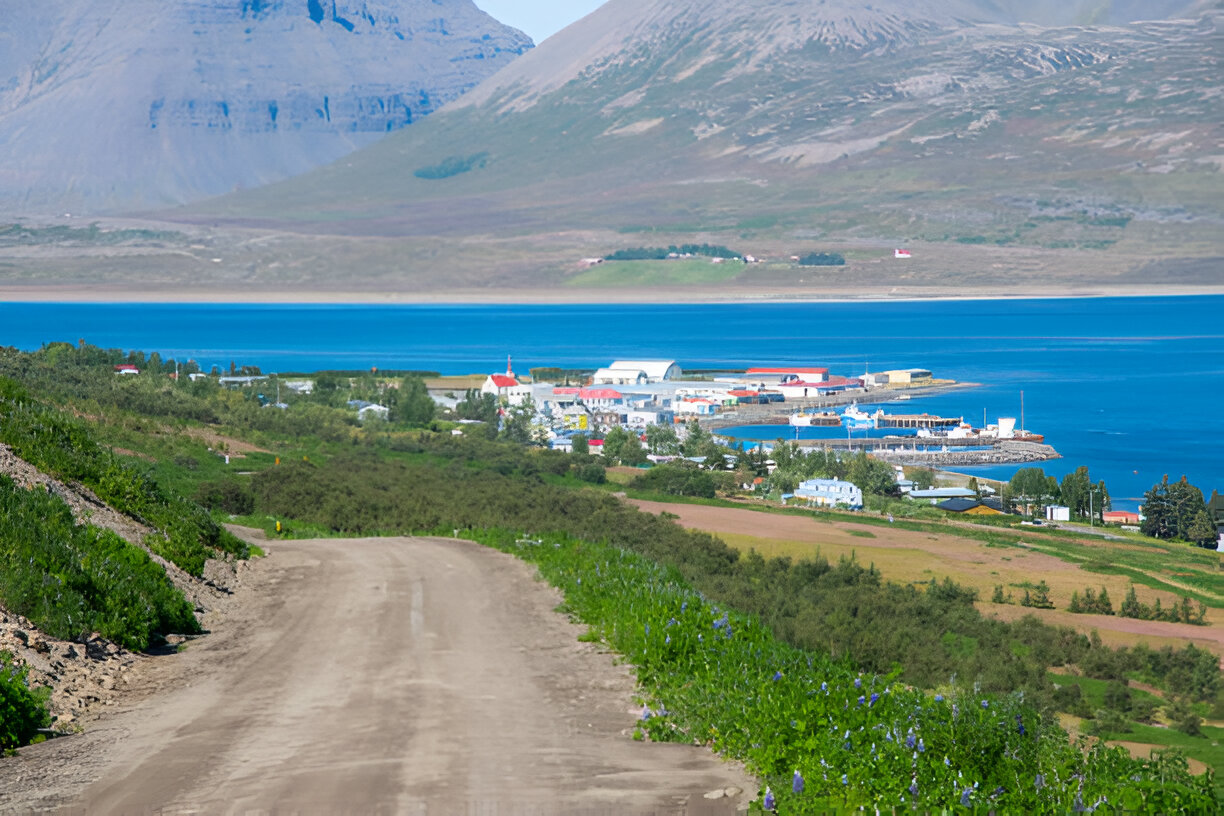 Private tour from Isafjordur Port: Dynjandi Waterfall & Westfjords Panorama, photo 5 of 7