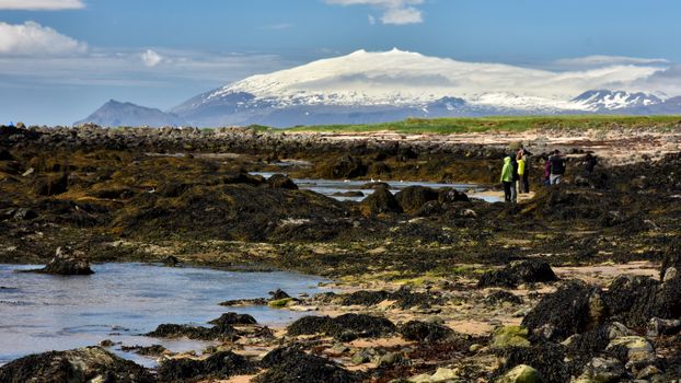 Snæfellsnes National Park with local meal included — photo 11
